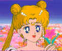 princessflowerclose_small.jpg